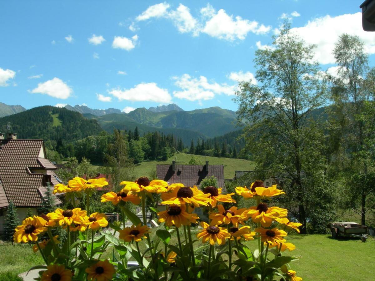 Apartamenty Willa Alesandro Zakopane Exteriér fotografie