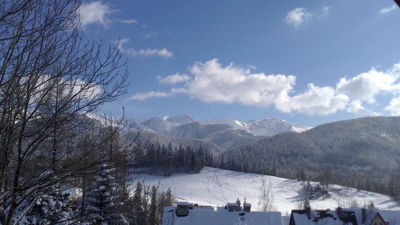 Apartamenty Willa Alesandro Zakopane Exteriér fotografie